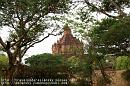 web_PICT0246 * 

バガンの寺院１


バガンは遺跡の町
沢山の寺院・仏塔がある。
カンボジアで言うとアンコールワットのあるシェムリアプのような町。
遺跡といっても、今でも現地の人が日常的に参拝に来て、
仏像の手入れや献花を行っている。

個人的には観光地化されたシェムリアプより、
バガンの方が「生きた遺跡」って感じがして好き。


写真の寺院の名前は・・・忘れた^^;)
とにかく沢山寺院があるんです！！


















   

