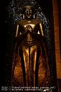 web_PICT0271 * 

バガンの仏像１


ミャンマーの仏像はそれぞれ個性的で
見てて飽きない。

薄暗い寺院の中から浮かび上がる金色の仏像は
表現しがたいほどに神秘的


















   

