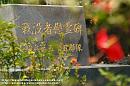 PICT0012 * ミャンマーの日本人墓地（騎兵五十五連隊）



ヤンゴンの日本人墓地　～その１～
ヤンゴンの日本人墓地　～その２～
ヤンゴンの日本人墓地　～その３～












[PR] sip

